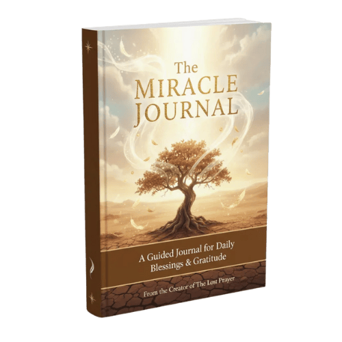 The Miracle Journal book cover